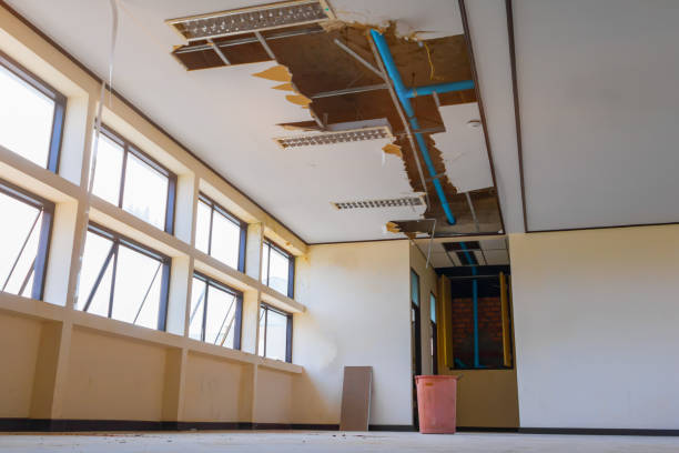 Best Flood damage cleanup  in Landover Hills, MD