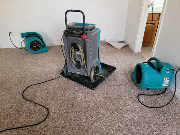 Best Residential water damage restoration  in Landover Hills, MD