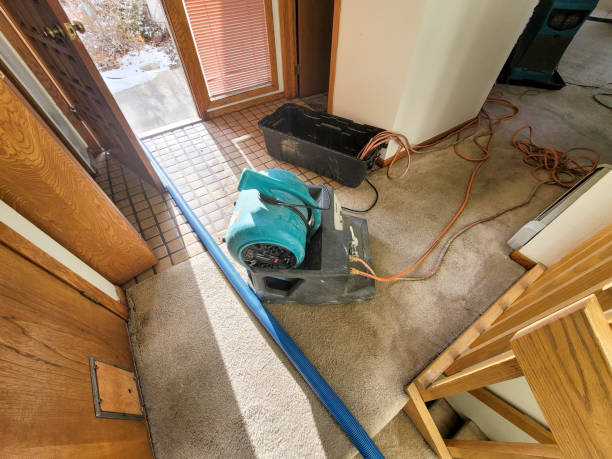 Best Water damage cleanup near me  in Landover Hills, MD