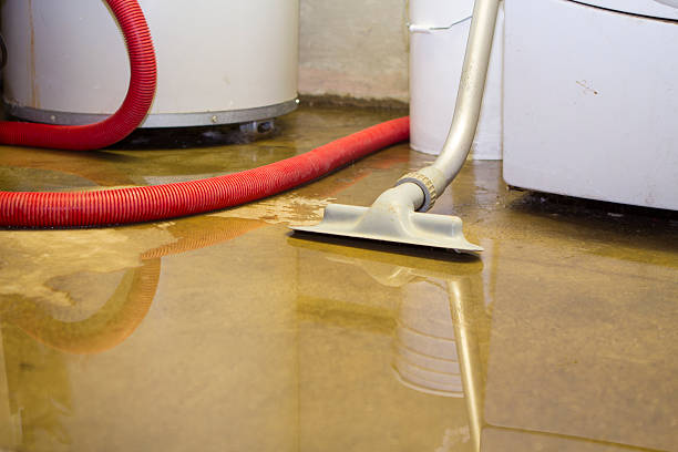 Best Carpet water damage restoration  in Landover Hills, MD