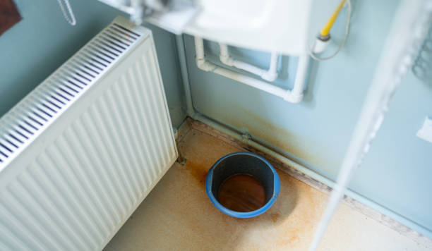 Best Mold removal after water damage  in Landover Hills, MD