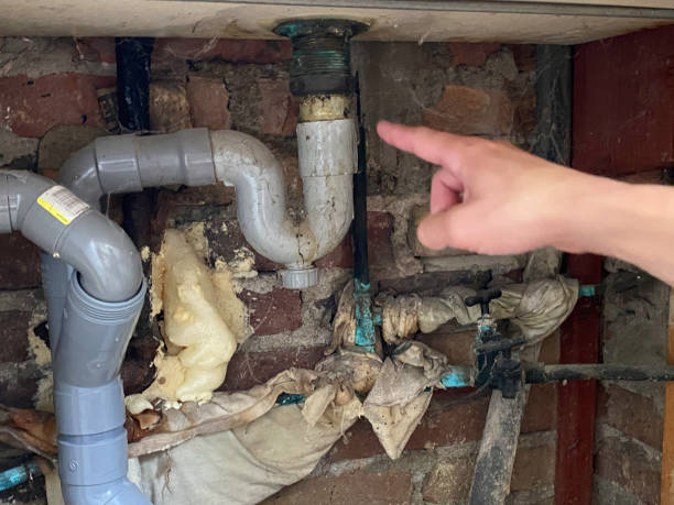Best Sewage cleanup and water damage restoration  in Landover Hills, MD