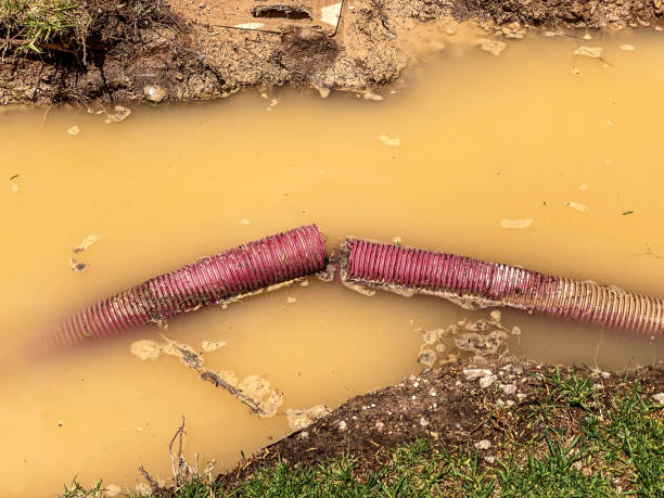 Best Water damage restoration near me  in Landover Hills, MD